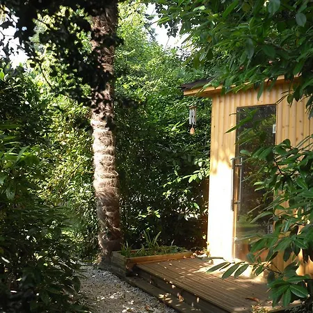 Campbellii