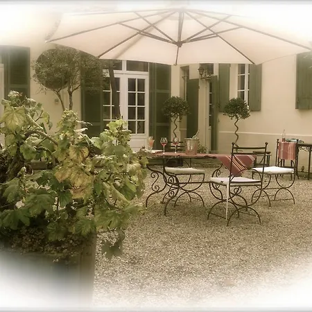 Couette-café Campbellii