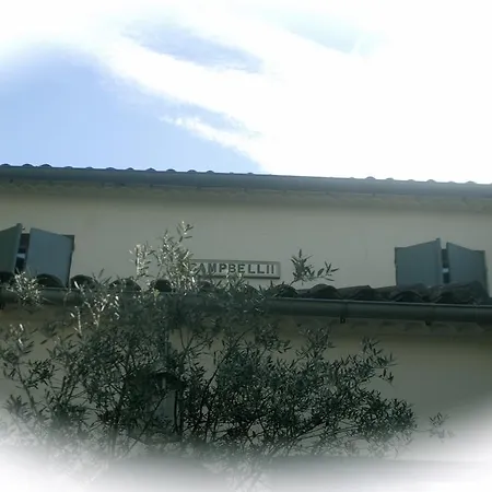 Campbellii 2* Langon (Gironde)