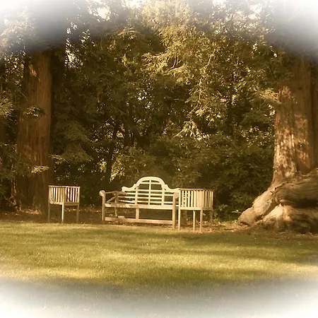 Bed & Breakfast Campbellii