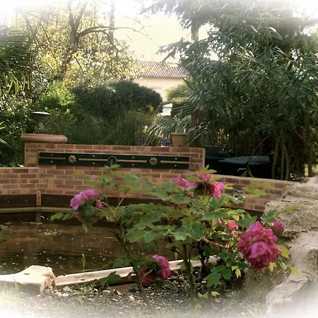 Campbellii Bed & Breakfast