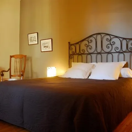 Bed & Breakfast Campbellii