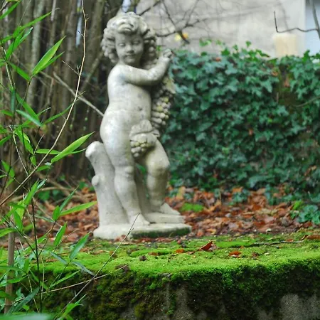 Campbellii Langon (Gironde)
